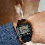 Casio W-800H  (2).webp