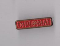 diplomat pin.jpg