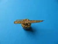 paper mate pin.jpg