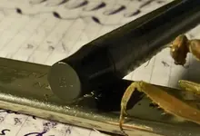 Parker L.C. mantis I.webp