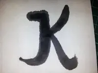 20131203_202847_1.webp