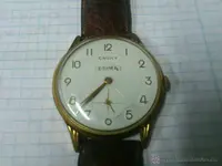 45546294.webp