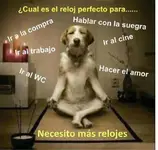 Perro meditando 02.webp