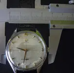 P1110371.webp