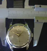 P1110372.webp