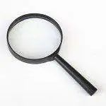 LUPA 01.webp