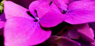 IMG_20190724_123948.webp