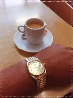 orient2.webp