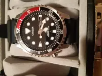 15614326352726183118636134018237.webp