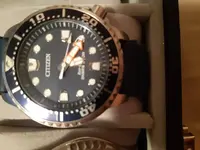 15614327090847151919576376471904.webp