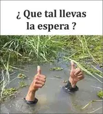 NEME 0001.webp