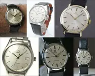 DISEÑOS OMEGA.webp