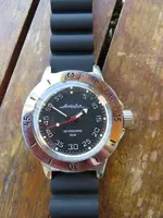 17073170 102 VOSTOK AMPHIBIA100654.webp