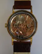 DSC-0136-1-a.webp