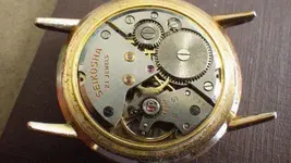 IMGP0004.webp