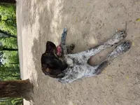 20190707_112244.webp