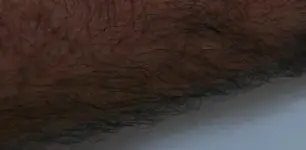 067.webp 067.webp