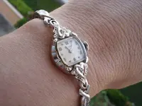 wristshot2.webp