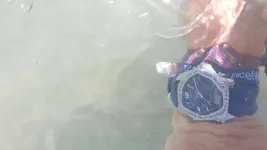 20190730_131115.webp
