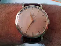 Omega 1.webp
