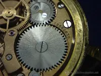 Omega cuerda.7.webp