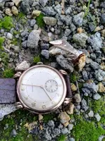 IMG_20190806_080232.webp