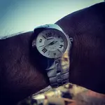 Seiko Kinetic Arctura SNG041P1 (3).webp