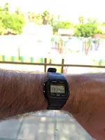 IMG_20190808_132505.webp