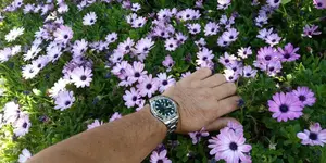 IMG_20190803_131636.webp