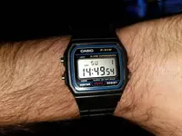 15673421676135878274385052219276.webp