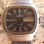 IMGP1031.webp