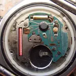 IMGP1021.webp