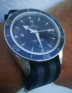 OIP00025.webp