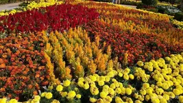 IMG_20190812_180218.webp