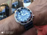 Diver.webp