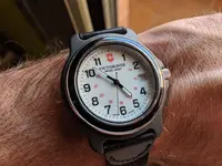 15675223733195070460258550219821.webp