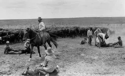 cattlefolk-roping.webp