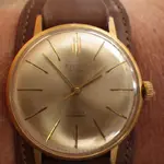 IMGP1083.webp
