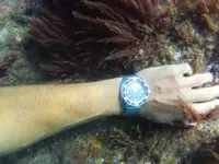 vostok garachico.webp