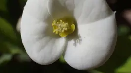 IMGP1056.webp