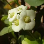 IMGP1054.webp