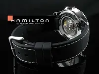 hamilton 3.webp