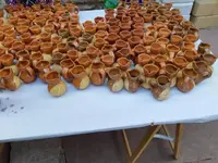 20190825_125838.webp