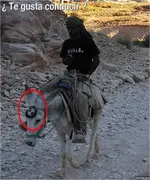 bmw2.webp