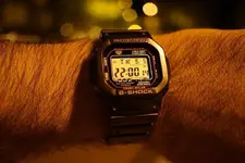 DSC02741.webp