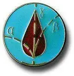 200px-Médaille_Tchernobyl_goutte_de_sang.webp