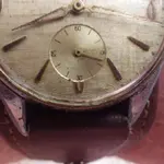 IMGP1069.webp