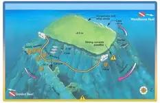 3-Thomas-Reef-1.webp