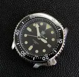 skx_02.webp