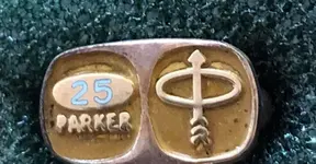 PRK 25 service pins 25 to 45years of service 12_nfuente Tsachi Mitsenmacher.webp